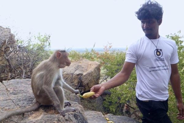 Social Activities (14)