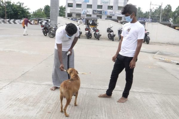 Social Activities (17)