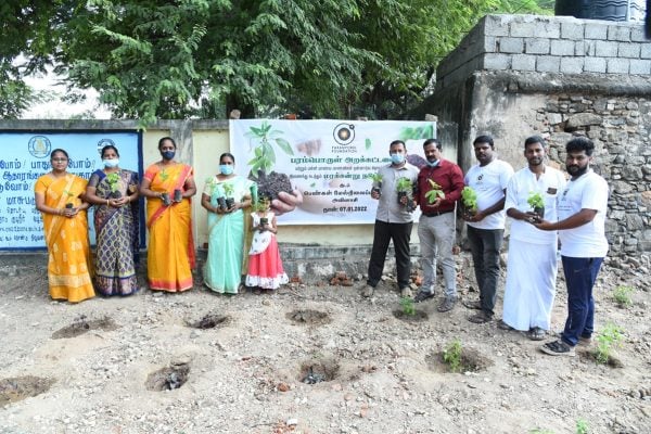 Tree plantation (3)