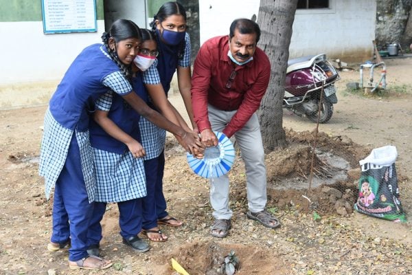 Tree plantation (7)